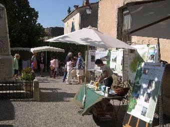 Stand de sensibilisation en extérieur