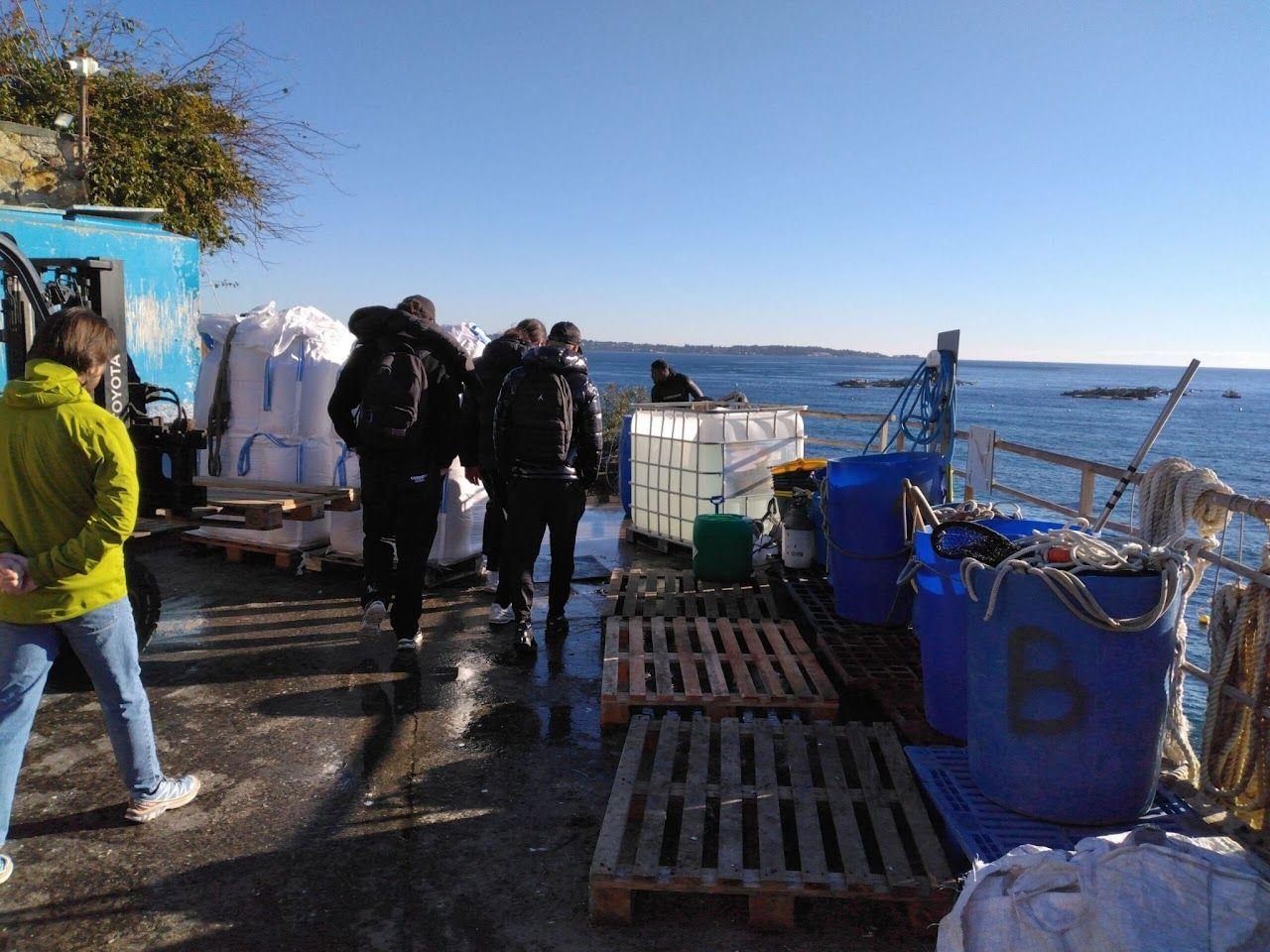 Lycéens en sortie sur le port